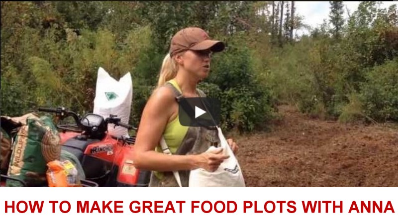 how to make
                  great food plots