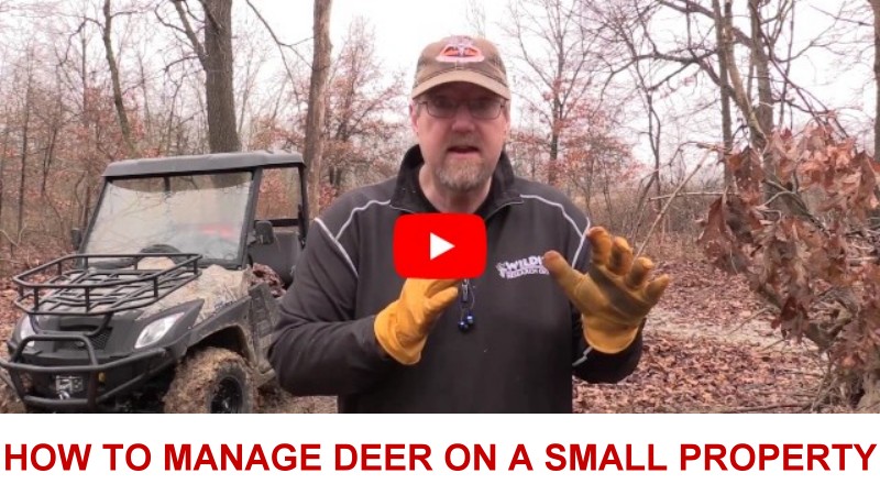 how
                  to manage whitetail deer on small properties